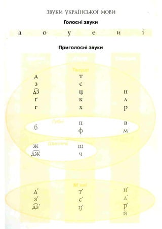 звуки УКРАЇНСЬКОЇ мови
Голосні звуки
а о у е и і
Приголосні звуки
А
З
Д З
ґ
г
т
с
Ц
к
X
н
А
Р
п
ф
в
м
ж
д ж
ш
ч
А
з'
A 3
т
/
с
0
Ц
н
/
А
/
Р
И
 