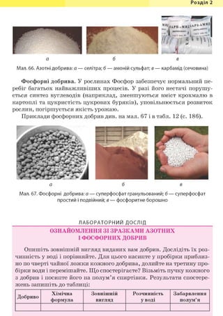 Розділ 1
а б в
Мал. 66. Азотні добрива: а — селітра; б — амоній сульфат; в — карбамід (сечовина)
Фосфорні добрива. У рослинах Фосфор забезпечує нормальний пе-
ребіг багатьох найважливіших процесів. У разі його нестачі порушу-
ється синтез вуглеводів (наприклад, зменшуються вміст крохмалю в
картоплі та цукристість цукрових буряків), уповільнюється розвиток
рослин, погіршується якість урожаю.
Приклади фосфорних добрив див. на мал. 67 і в табл. 12 (с. 186).
а б в
Мал. 67. Фосфорні добрива: а — суперфосфат гранульований; б — суперфосфат
простий і подвійний; в — фосфоритне борошно
ЛАБОРАТОРНИЙ ДОСЛІД
ОЗНАЙОМЛЕННЯ ЗІ ЗРАЗКАМИ АЗОТНИХ
І ФОСФОРНИХ ДОБРИВ
Опишіть зовнішній вигляд виданих вам добрив. Дослідіть їх роз-
чинність у воді і порівняйте. Для цього насипте у пробірки приблиз-
но по чверті чайної ложки кожного добрива, долийте на третину про-
бірки води і перемішайте. Що спостерігаєте? Візьміть пучку кожного
з добрив і посипте його на полум'я спиртівки. Результати спостере-
жень запишіть до таблиці:
Добриво
Хімічна
формула
Зовнішній
вигляд
Розчинність
уводі
Забарвлення
полум'я
 