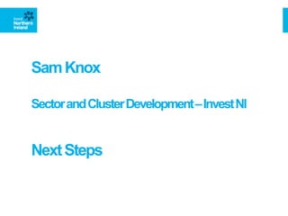 SamKnox
SectorandClusterDevelopment–InvestNI
NextSteps
 