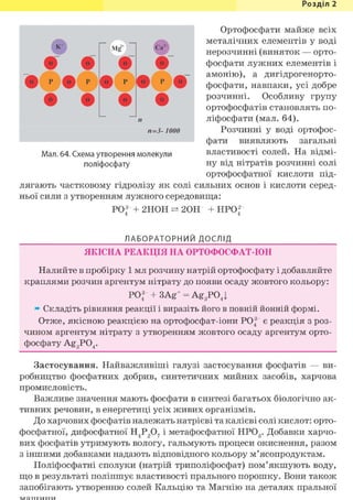 Розділ 1
Ортофосфати майже всіх
металічних елементів у воді
нерозчинні (виняток — орто-
фосфати лужних елементів і
амонію), а дигідрогенорто-
фосфати, навпаки, усі добре
розчинні. Особливу групу
ортофосфатів становлять по-
ліфосфати (мал. 64).
Розчинні у воді ортофос-
фати виявляють загальні
властивості солей. На відмі-
ну від нітратів розчинні солі
ортофосфатної кислоти під-
лягають частковому гідролізу як солі сильних основ і кислоти серед-
ньої сили з утворенням лужного середовища:
P O f + 2НОН 20Н + HPOf4 4
ЛАБОРАТОРНИЙ ДОСЛІД
ЯКІСНА РЕАКЦІЯ НА ОРТОФОСФАТ-ІОН
Налийте в пробірку 1 мл розчину натрій ортофосфату і добавляйте
краплями розчин аргентум нітрату до появи осаду жовтого кольору:
Р043 + 3Ag+ = Ag3 P04 |
* Складіть рівняння реакції і виразіть його в повній йонній формі.
Отже, якісною реакцією на ортофосфат-іони Р0| є реакція з роз-
чином аргентум нітрату з утворенням жовтого осаду аргентум орто-
фосфату AgjPO,.
Застосування. Найважливіші галузі застосування фосфатів — ви-
робництво фосфатних добрив, синтетичних мийних засобів, харчова
промисловість.
Важливе значення мають фосфати в синтезі багатьох біологічно ак-
тивних речовин, в енергетиці усіх живих організмів.
До харчових фосфатів належать натрієві та калієві солі кислот: орто-
фосфатної, дифосфатної Н4Р207 і метафосфатної НР03. Добавки харчо-
вих фосфатів утримують вологу, гальмують процеси окиснення, разом
з іншими добавками надають відповідного кольору м'ясопродуктам.
Поліфосфатні сполуки (натрій триполіфосфат) пом'якшують воду,
що в результаті поліпшує властивості прального порошку. Вони також
запобігають утворенню солей Кальцію та Магнію на деталях пральної
г - мг" 1 с »
• •
• р • р
• >• " •
• • • •
п
п=3- 1000
Мал. 64. Схема утворення молекули
поліфосфату
 