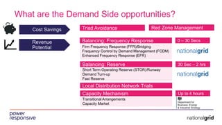 What are the Demand Side opportunities?
Cost Savings
Revenue
Potential Firm Frequency Response (FFR)/Bridging
Frequency Control by Demand Management (FCDM)
Enhanced Frequency Response (EFR)
Short Term Operating Reserve (STOR)/Runway
Demand Turn-up
Fast Reserve
Triad Avoidance Red Zone Management
Balancing: Reserve
Balancing: Frequency Response
Capacity Mechanism
Transitional Arrangements
Capacity Market
0 – 30 Secs
30 Sec – 2 hrs
Up to 4 hours
Local Distribution Network Trials
 