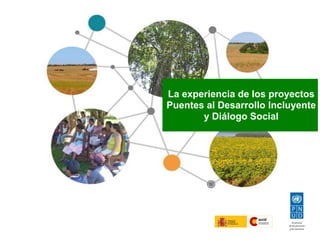 La experiencia de los proyectos
Puentes al Desarrollo Incluyente
y Diálogo Social
 