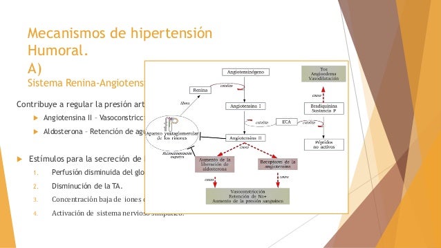 Como no hipertensión baja