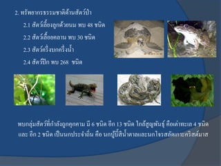 2. ทรัพยากรธรรมชาติด้านสัตว์ป่า
2.1 สัตว์เลี้ยงลูกด้วยนม พบ 48 ชนิด
2.2 สัตว์เลื้อยคลาน พบ 30 ชนิด
2.3 สัตว์ครึ่งบกครึ่งน้า
2.4 สัตว์ปีก พบ 268 ชนิด
พบกลุ่มสัตว์ที่กาลังถูกคุกคาม มี 6 ชนิด อีก 13 ชนิด ใกล้สูญพันธุ์ คือเต่าทะเล 4 ชนิด
และ อีก 2 ชนิด เป็นนกประจาถิ่น คือ นกบู้บี้สีน้าตาลและนกโจรสลัดเกาะคริสต์มาส
 