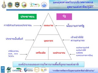 40
แผนยุทธศาสตร์ระบบนิเวศทางทะเล
อุทยานแห่งชาติตะรุเตา
“การจัดการทรัพยากรในอุทยานแห่งชาติอย่างมีส่วนร่วม”
แผนงาน
บุคลากร
เครื่องมือ งบประมาณ
นโยบายภาครัฐการมีส่วนร่วมของประชาชน
องค์ประกอบของการบริหารงานพื้นที่อุทยานแห่งชาติ
งบประมาณปกติ
งบเงินรายได้
งบพิเศษ
งบหน่วยราชการอื่นๆ
บริษัทเอกชน
อบต., อบจ.
NGOs
ประชาชนในพื้นที่ เจ้าหน้าที่ที่มี
ความสามารถ
รัฐประชาชน
 