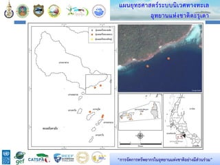 49
แผนยุทธศาสตร์ระบบนิเวศทางทะเล
อุทยานแห่งชาติตะรุเตา
“การจัดการทรัพยากรในอุทยานแห่งชาติอย่างมีส่วนร่วม”
 