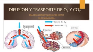 DIFUSION Y TRASPORTE DE O2 Y CO2
DRA. EDDA LEONOR VELASQUEZ DE CORTEZ
R1 DE NEUMOLOGIA
 