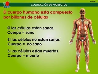 10. colocacion-de-productos