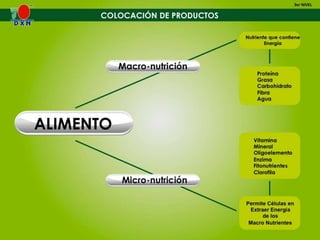 10. colocacion-de-productos