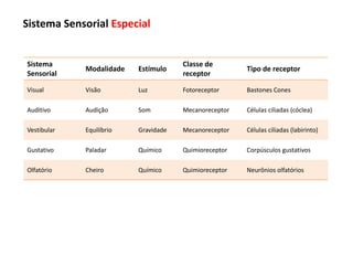 Sistema
Sensorial
Modalidade Estímulo
Classe de
receptor
Tipo de receptor
Visual Visão Luz Fotoreceptor Bastones Cones
Auditivo Audição Som Mecanoreceptor Células ciliadas (cóclea)
Vestibular Equilíbrio Gravidade Mecanoreceptor Células ciliadas (labirinto)
Gustativo Paladar Químico Quimioreceptor Corpúsculos gustativos
Olfatório Cheiro Químico Quimioreceptor Neurônios olfatórios
Sistema Sensorial Especial
 