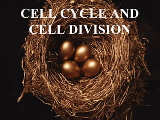 CELL CYCLE AND
CELL DIVISION
 