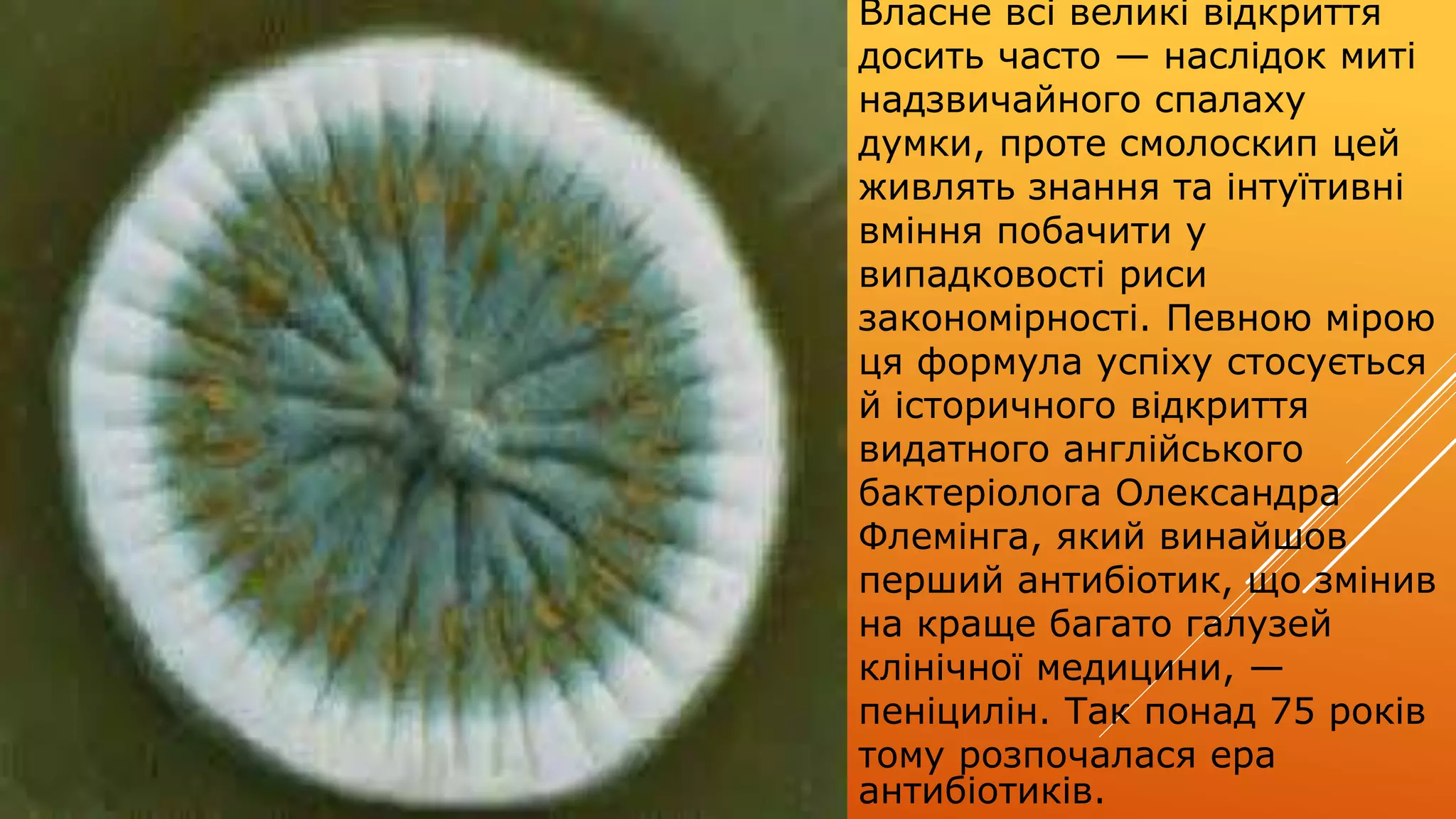 Власне всі великі відкриття
досить часто — наслідок миті
надзвичайного спалаху
думки, проте смолоскип цей
живлять знання та інтуїтивні
вміння побачити у
випадковості риси
закономірності. Певною мірою
ця формула успіху стосується
й історичного відкриття
видатного англійського
бактеріолога Олександра
Флемінга, який винайшов
перший антибіотик, що змінив
на краще багато галузей
клінічної медицини, —
пеніцилін. Так понад 75 років
тому розпочалася ера
антибіотиків.
 