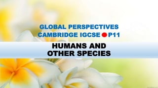 HUMANS AND
OTHER SPECIES
GLOBAL PERSPECTIVES
CAMBRIDGE IGCSE P11
 