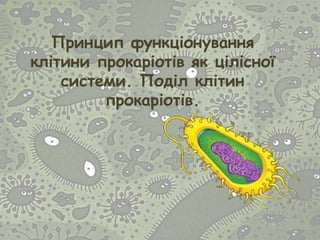 Принцип функціонування
клітини прокаріотів як цілісної
системи. Поділ клітин
прокаріотів.
 