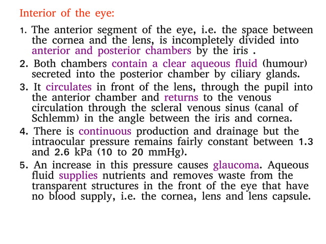 anatomy and physiology of eye | PDF | Eye and Vision Conditions ...