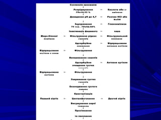     Суспензія крохмалю    
    ↓    
    Розріджування
ГЕ=18-22 %
← Кислота або α-
амілаза
    ↓    
    Доведення рН до 4,7 ← Розчин HCl або
NaOH
    ↓    
    Зцукрювання
72 год., ГЕ=94-96%
← Глюкоамілаза
    ↓    
    Інактивація ферменту ← пара
    ↓    
Жиро-білкові
домішки
← Фільтрування рідких
сиропів
← Фільтрувальний
порошок
    ↓    
    Адсорбційне
очищення
← Відпрацьоване
активне вугілля
    ↓    
Відпрацьоване
вугілля у корм
← Фільтрування    
    ↓    
    Випарювання сиропів    
    ↓    
    Адсорбційне
очищення густих
сиропів
← Активне вугілля
    ↓    
Відпрацьоване
вугілля
← Фільтрування    
    ↓    
    Уварювання густих
сиропів
   
    ↓    
    Охолодження густого
сиропу
   
    ↓    
    Кристалізація    
    ↓    
Перший відтік ← Центрифугування → Другий відтік
    ↓    
    Висушування сирої
глюкози
   
    ↓    
    Просіювання
та пакування
   
    ↓    
 