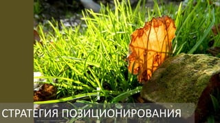 СТРАТЕГИЯ	ПОЗИЦИОНИРОВАНИЯ
 