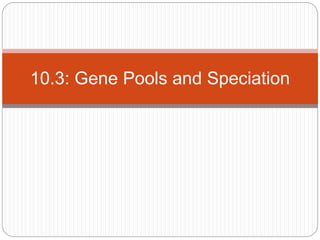 10.3: Gene Pools and Speciation
 