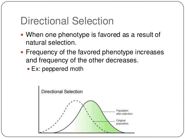 How Does Evolution Occur Not By Natural Selection How Does Evolution Occur Not By Natural Selection