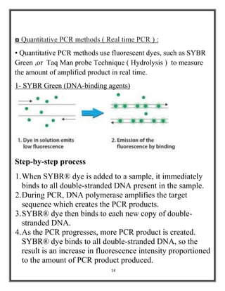 14
◘ Quantitative PCR methods ( Real time PCR ) :
• Quantitative PCR methods use fluorescent dyes, such as SYBR
Green ,or Taq Man probe Technique ( Hydrolysis ) to measure
the amount of amplified product in real time.
1- SYBR Green (DNA-binding agents)
Step-by-step process
1.When SYBR® dye is added to a sample, it immediately
binds to all double-stranded DNA present in the sample.
2.During PCR, DNA polymerase amplifies the target
sequence which creates the PCR products.
3.SYBR® dye then binds to each new copy of double-
stranded DNA.
4.As the PCR progresses, more PCR product is created.
SYBR® dye binds to all double-stranded DNA, so the
result is an increase in fluorescence intensity proportioned
to the amount of PCR product produced.
 