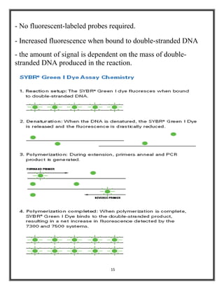 15
- No fluorescent-labeled probes required.
- Increased fluorescence when bound to double-stranded DNA
- the amount of signal is dependent on the mass of double-
stranded DNA produced in the reaction.
 
