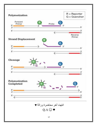 17
‫انتهت‬‫وراثة‬ ‫محاضرة‬ ‫أخر‬♥
Q.A ☺ ♥
 