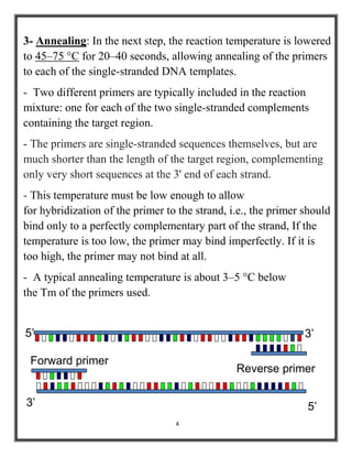 4
3- Annealing: In the next step, the reaction temperature is lowered
to 45–75 °C for 20–40 seconds, allowing annealing of the primers
to each of the single-stranded DNA templates.
- Two different primers are typically included in the reaction
mixture: one for each of the two single-stranded complements
containing the target region.
- The primers are single-stranded sequences themselves, but are
much shorter than the length of the target region, complementing
only very short sequences at the 3' end of each strand.
- This temperature must be low enough to allow
for hybridization of the primer to the strand, i.e., the primer should
bind only to a perfectly complementary part of the strand, If the
temperature is too low, the primer may bind imperfectly. If it is
too high, the primer may not bind at all.
- A typical annealing temperature is about 3–5 °C below
the Tm of the primers used.
5’3’
5’ 3’
Forward primer
Reverse primer
 
