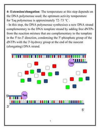 5
4- Extension/elongation: The temperature at this step depends on
the DNA polymerase used; the optimum activity temperature
for Taq polymerase is approximately 72–73 °C .
- In this step, the DNA polymerase synthesizes a new DNA strand
complementary to the DNA template strand by adding free dNTPs
from the reaction mixture that are complementary to the template
in the 5'-to-3' direction, condensing the 5'-phosphate group of the
dNTPs with the 3'-hydroxy group at the end of the nascent
(elongating) DNA strand.
Taq
5’
3’
Taq5’
 