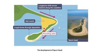 The development of Spurn Head
 
