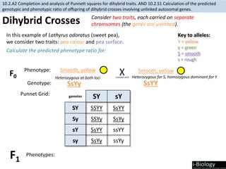 10.2 - HL Biology Inheritance | PPTX