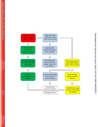 Raw NGS reads
(MiSeq 2 x 250bp)
40x min. depth
Look for spacer
matches in
sequence reads
Derive Spoligotypes
from CDC and NYS
octal codes
Taxonomic
classification with
Kraken
Map reads over
Reference H37Rv
with minimum Q20
SNP calling with
indels only, GATK
Diploid mode, 10x
min. depth
SNP calling without
indels, GATK Diploid
mode, 10x min. depth
Generate high
quality consensus
sequence
ML SNP tree using
FastTree, GTR model,
4 categories
Large genomic
deletion detection
with LumpyUSV
Annotate SNPs/Indels
at loci known to
cause resistance
Generate final
taxonomic reports,
resistance profiles and
phylogenetic tree
onApril6,2017byYORKUNIVERSITYhttp://jcm.asm.org/Downloadedfrom
 