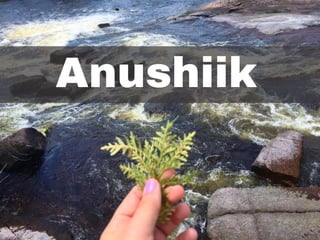 Anushiik
 