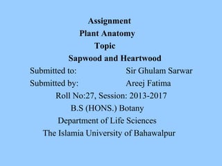 Assignment
Plant Anatomy
Topic
Sapwood and Heartwood
Submitted to: Sir Ghulam Sarwar
Submitted by: Areej Fatima
Roll No:27, Session: 2013-2017
B.S (HONS.) Botany
Department of Life Sciences
The Islamia University of Bahawalpur
 