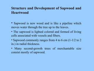 Structure and Development of Sapwood and
Heartwood
• Sapwood is new wood and is like a pipeline which
moves water through the tree up to the leaves.
• The sapwood is lighted colored and formed of living
cells associated with vessels and fibers.
• Sapwood commonly ranges from 4 to 6 cm (1-1/2 to 2
in.) in radial thickness.
• Many second-growth trees of merchantable size
consist mostly of sapwood.
 
