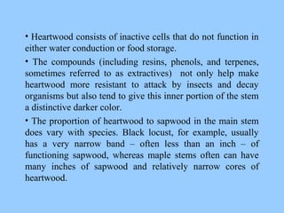 • Heartwood consists of inactive cells that do not function in
either water conduction or food storage.
• The compounds (including resins, phenols, and terpenes,
sometimes referred to as extractives) not only help make
heartwood more resistant to attack by insects and decay
organisms but also tend to give this inner portion of the stem
a distinctive darker color.
• The proportion of heartwood to sapwood in the main stem
does vary with species. Black locust, for example, usually
has a very narrow band – often less than an inch – of
functioning sapwood, whereas maple stems often can have
many inches of sapwood and relatively narrow cores of
heartwood.
 