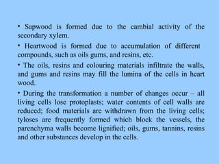 • Sapwood is formed due to the cambial activity of the
secondary xylem.
• Heartwood is formed due to accumulation of different
compounds, such as oils gums, and resins, etc.
• The oils, resins and colouring materials infiltrate the walls,
and gums and resins may fill the lumina of the cells in heart
wood.
• During the transformation a number of changes occur – all
living cells lose protoplasts; water contents of cell walls are
reduced; food materials are withdrawn from the living cells;
tyloses are frequently formed which block the vessels, the
parenchyma walls become lignified; oils, gums, tannins, resins
and other substances develop in the cells.
 