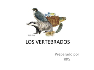 LOS VERTEBRADOS
Preparado por
RKS
 