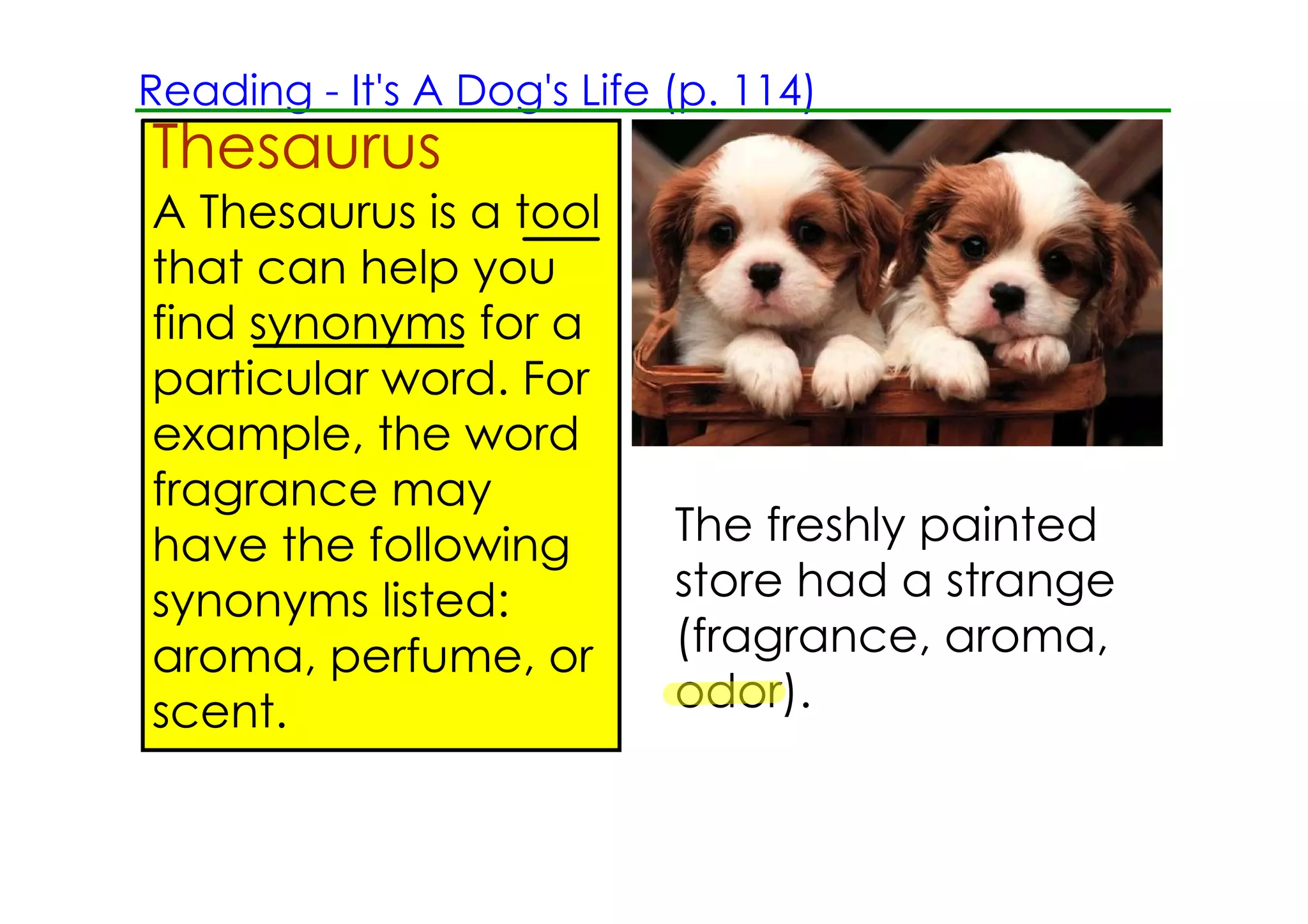Reading ­ It's A Dog's Life (p. 114)
Thesaurus
A Thesaurus is a tool
that can help you
find synonyms for a
particular word. For
example, the word
fragrance may
have the following          The freshly painted
synonyms listed:            store had a strange
aroma, perfume, or          (fragrance, aroma,
scent.                      odor).
 