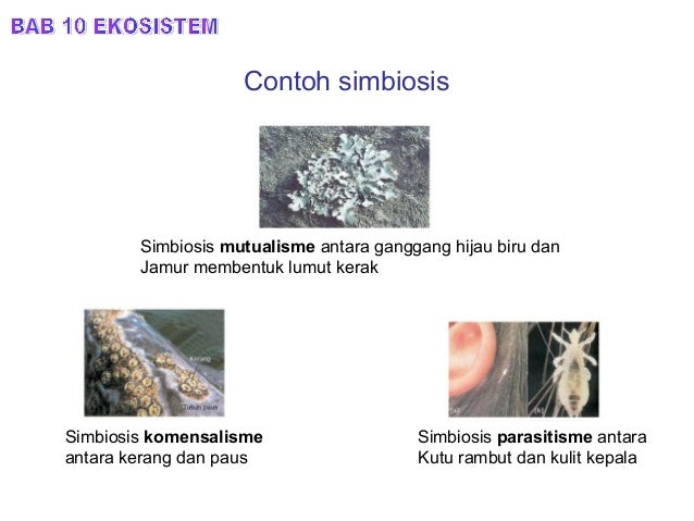 BIOLOGI ekosistem