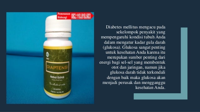 Obat Tradisional Orang Diabetes Obat Tradisional Orang Diabetes