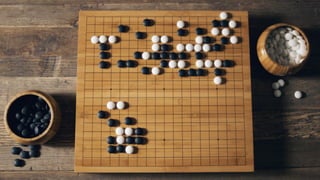 Fan Hui, Alpha Go player
 