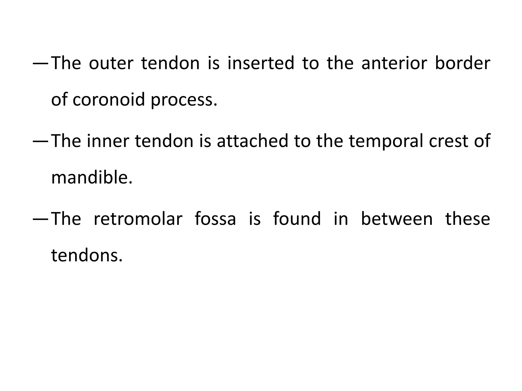 ―The outer tendon is inserted to the anterior border
of coronoid process.
―The inner tendon is attached to the temporal crest of
mandible.
―The retromolar fossa is found in between these
tendons.
 