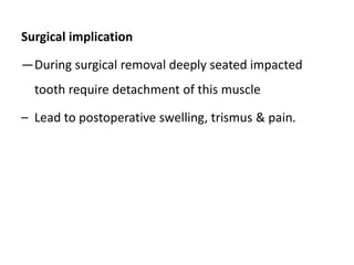 Surgical implication
―During surgical removal deeply seated impacted
tooth require detachment of this muscle
– Lead to postoperative swelling, trismus & pain.
 