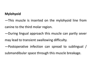 Mylohyoid
―This muscle is inserted on the mylohyoid line from
canine to the third molar region.
―During lingual approach this muscle can partly sever
may lead to transient swallowing difficulty.
―Postoperative infection can spread to sublingual /
submandibular space through this muscle breakage.
 