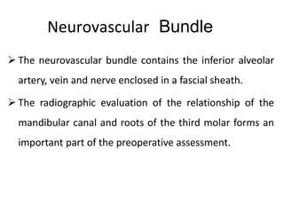 Neurovascular Bundle
 The neurovascular bundle contains the inferior alveolar
artery, vein and nerve enclosed in a fascial sheath.
 The radiographic evaluation of the relationship of the
mandibular canal and roots of the third molar forms an
important part of the preoperative assessment.
 