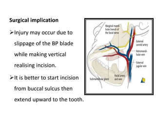 Surgical implication
Injury may occur due to
slippage of the BP blade
while making vertical
realising incision.
It is better to start incision
from buccal sulcus then
extend upward to the tooth.
 