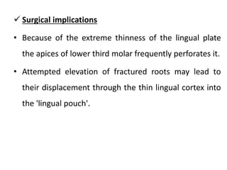  Surgical implications
• Because of the extreme thinness of the lingual plate
the apices of lower third molar frequently perforates it.
• Attempted elevation of fractured roots may lead to
their displacement through the thin lingual cortex into
the 'lingual pouch'.
 