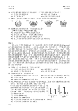 第 7 頁 107年指考
共 11 頁 生物考科
- 7 -
36. 如果拍攝侏羅紀早期植物生態的記錄片，下列哪一種場景最不可能出現？
(A) 春季時花粉隨風飛揚 (B) 樹上有紅色的果實
(C) 孢子隨溪流漂下 (D) 松樹的根有菌根的結構
37. 某植物X基因發生突變而失去功能時，則其花由外而內的結構為何？
(A) (B) (C) (D)
38. 依據本文及所習得的知識，下列敘述哪些正確？
(A) MADS可調控XYZ基因的轉譯活性
(B) 花的形成可能由MADS基因突變所造成
(C) 當Z基因大量表現時，花的雌蕊數目會增加
(D) 開花植物的形成很可能是由異域種化而來
(E) 猿人採食植物的生活型態可能也促成開花植物的形成
閱讀二
長久以來，科學界普遍認為嗜中性白血球是藉由胞吞作用與釋放其顆粒構造（granule）
內可殺死細菌的胜肽（抗菌胜肽），以清除入侵的微生物。然而近年來，科學家發現新的
免疫機制，稱之為嗜中性白血球胞外網狀物（NETs, neutrophil extracellular traps）。NETs
的形成與作用方式簡述如下：當嗜中性白血球上的受體（receptor）接收到外來刺激後，細
胞內會產生大量的活性氧自由基。當細胞內累積這些活性氧自由基時，其核膜結構及細胞
質中的顆粒構造變得不穩定。接著，細胞核與顆粒構造的膜完整性開始喪失，細胞核物質
與鬆散的基因體 DNA 逐漸充斥在整個細胞中，並與其顆粒構造內的抗菌胜肽融合在一起。
最後，細胞變圓並收縮以吐出 NETs。NETs 具有不固定性的鬆散細胞核染色質 DNA，如同
漁網般抓住細胞周圍的微生物，而 NETs 上的其他物質則可殺死微生物。在某些特定的情
況下，NETs 清除外來微生物的效率高於先前我們所知的胞吞作用。根據上文所述及相關知
識，回答下列問題：
39. 有關嗜中性白血球的敘述，下列何者正確？
(A) 在總白血球中占的百分比最少 (B) 具有圓形的大細胞核
(C) 細胞質中不帶有顆粒構造 (D) 和發炎反應有關
40. 有關NETs的敘述，下列哪些正確？
(A) 形成NETs的嗜中性白血球仍可存活 (B) 活性氧自由基的累積參與NETs的形成
(C) 具有特定形狀 (D) 形成過程中，會造成細胞核瓦解
(E) 細胞核是組成NETs的唯一成分來源
41. 某生將嗜中性白血球取出，在培養液中適當培養後加入細菌，所得的觀測結果如圖11與
12所示。圖11的縱軸為胞外DNA含量，用以代表
NETs產生量，圖12的縱軸則是細菌存活率。圖11及
圖12的橫軸代表不同的細菌，分別為野生型細菌A
（WT-A）、野生型細菌B（WT-B）以及去除Y基因
的細菌B（MT-B）。下列對於Y基因的敘述，何者較
符合本實驗的推論？
(A) 可以誘發NETs形成
(B) 讓細菌容易被NETs清除
(C) 此基因所產生的蛋白質可能為去氧核糖核酸酶（DNase）
(D) 此基因所產生的蛋白質為抗菌胜肽
圖 11
WT-A WT-B MT-B
胞外DNA量
圖 12
WT-A WT-B MT-B
細菌存活率
 