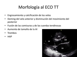 Morfología al ECO TT
• Engrosamiento y calcificación de los velos
• Doming del velo anterior y disminución del movimiento del
posterior
• Fusión de las comisuras y de las cuerdas tendinosas
• Aumento de tamaño de la AI
• Trombos
• HAP
 