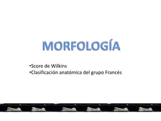 •Score de Wilkins
•Clasificación anatómica del grupo Francés
 